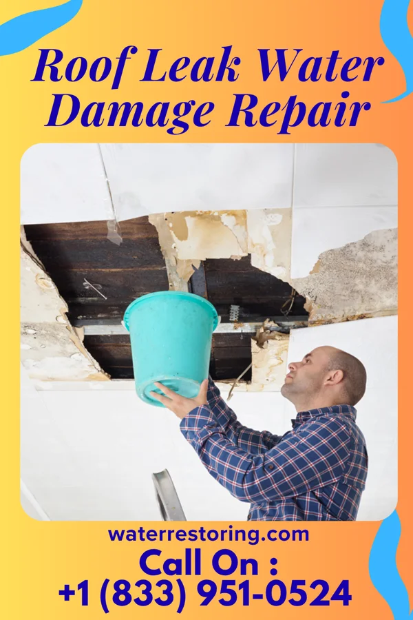 Roof Leak Water Damage Repair in Midlothian, TX